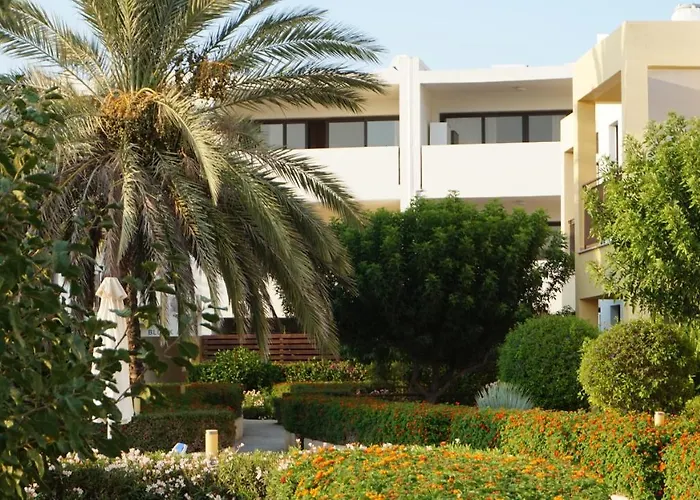 Hills 3 * マゾトス